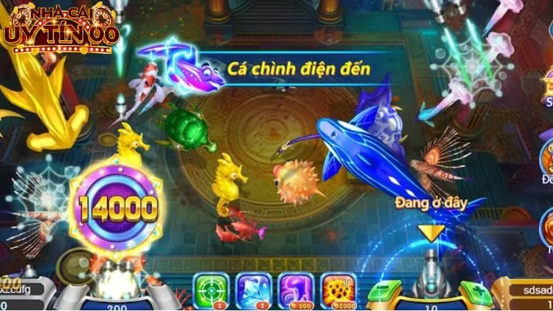 Chơi bắn cá săn thưởng nhanh chóng tại các địa chỉ uy tín