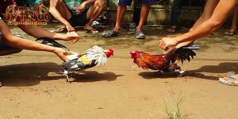 Chọn địa chỉ có giấy phép hoạt động uy tín
