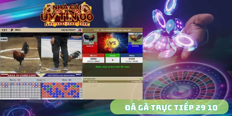Đá gà trực tiếp 29 10