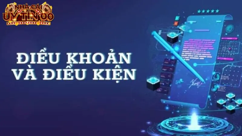 Điều khoản sử dụng cung cấp nhiều thông tin quan trọng