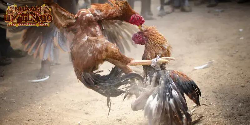 Trải nghiệm tốc độ cao, không lo gián đoạn
