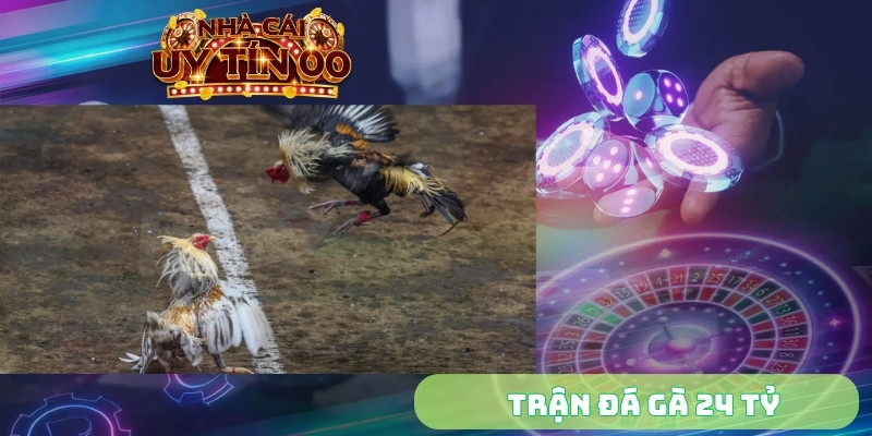 trận đá gà 24 tỷ