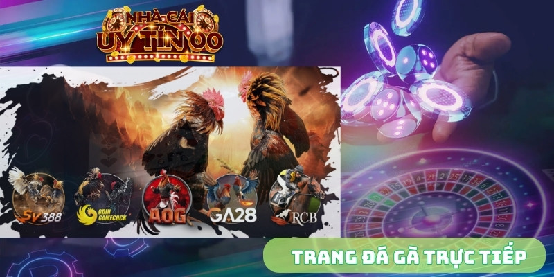 Trang đá gà trực tiếp