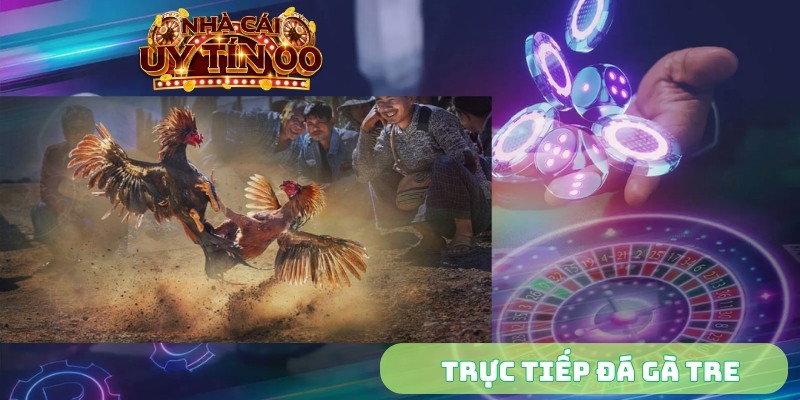 Trực tiếp đá gà tre